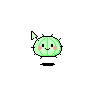 Cactus Kaoani
