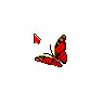 Red Butterfly