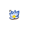 Lotus Flower