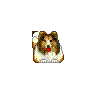Dog 4