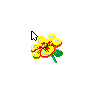 Yellow Flower