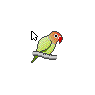 Exotic Bird
