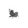 Exotic Bird