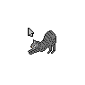 Cat Stretching
