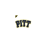 Pittsburgh Panthers