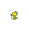 Charlie Brown, Woodstock Alternate Select