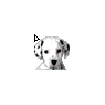 101 Dalmatian